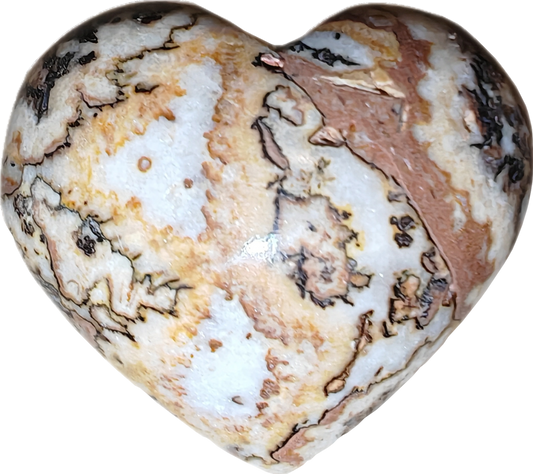 Jaspis dendriet (B)